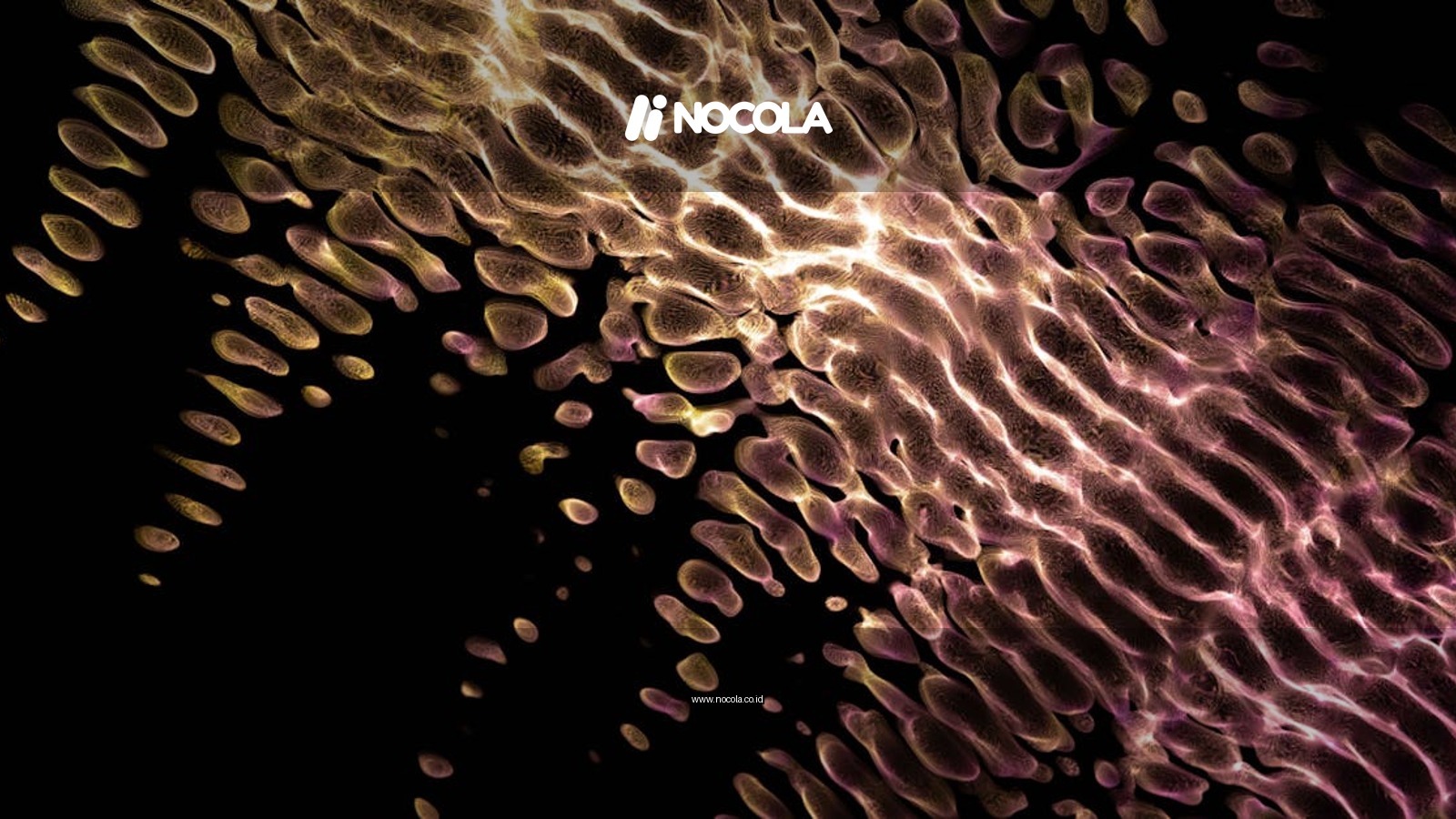Vibrant abstract fractal design with glowing neon patterns on a dark background.